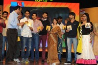 Uyyala Jampala Movie Audio Release Photos